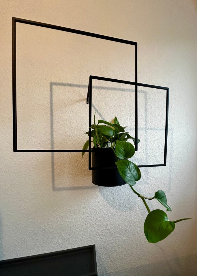 Eine Pflanze in einem schwarz-rahmigen Blumentopf vor geometrischen Rahmen.