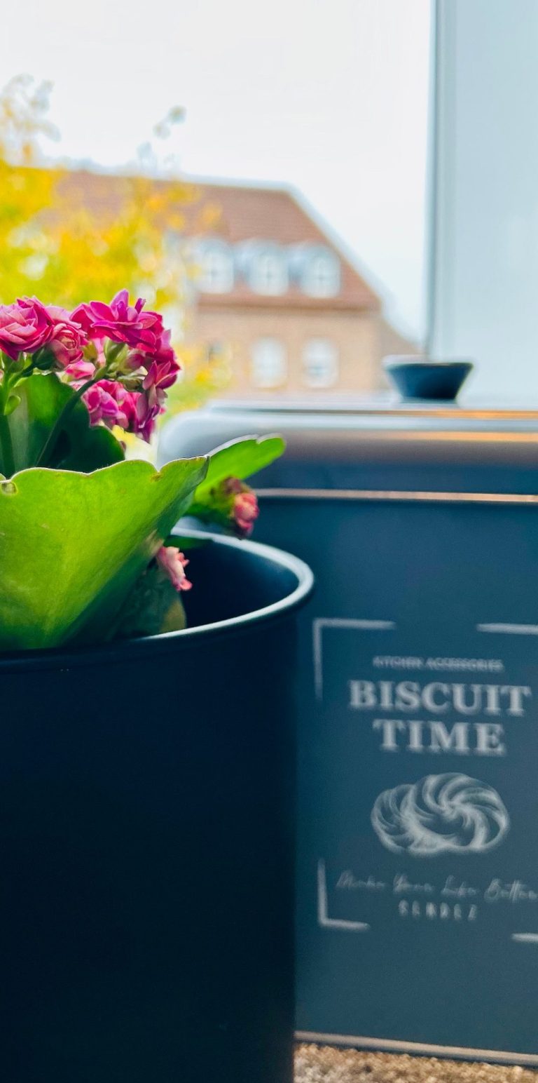 Topfpflanze mit pinken Blüten vor einer Keksdose und einem hellen Fenster.