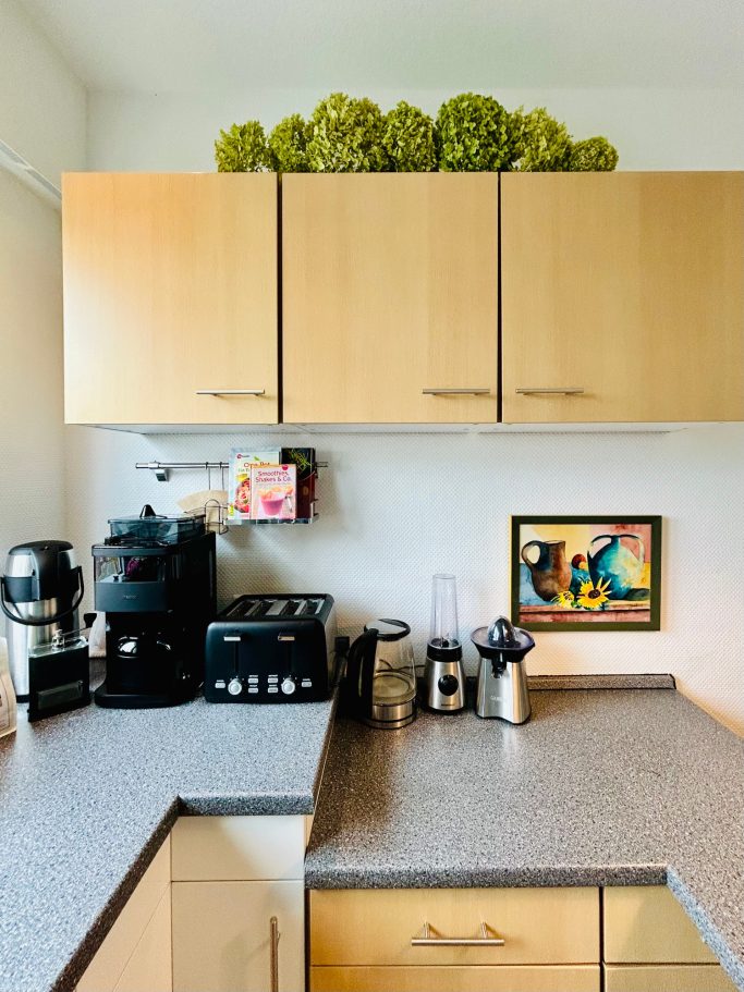 Moderne Küchenzeile mit Geräten, Holzschränken und Pflanzen auf dem Regal.