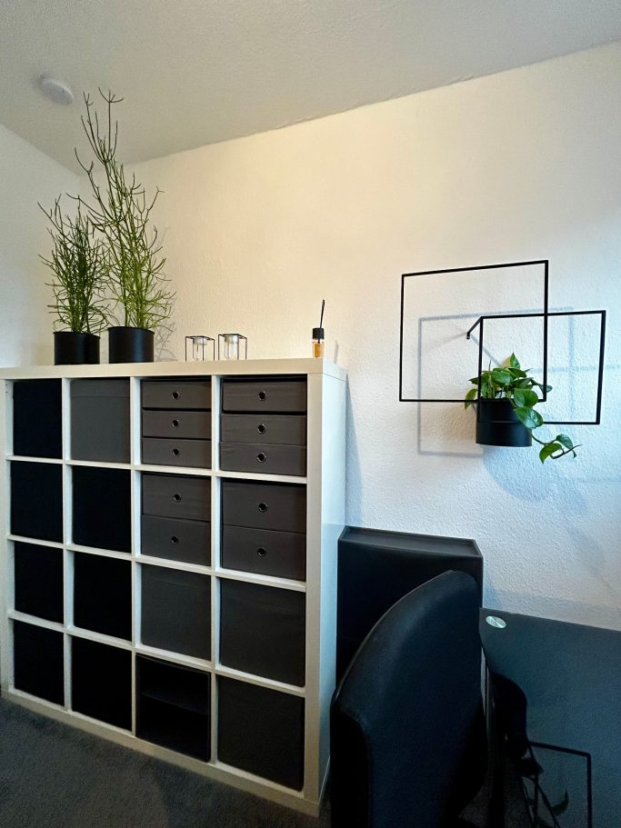 Moderner Arbeitsbereich mit Pflanzen, Regalen und einem Stuhl.